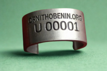 Centre de baguage des Oiseaux du Bénin